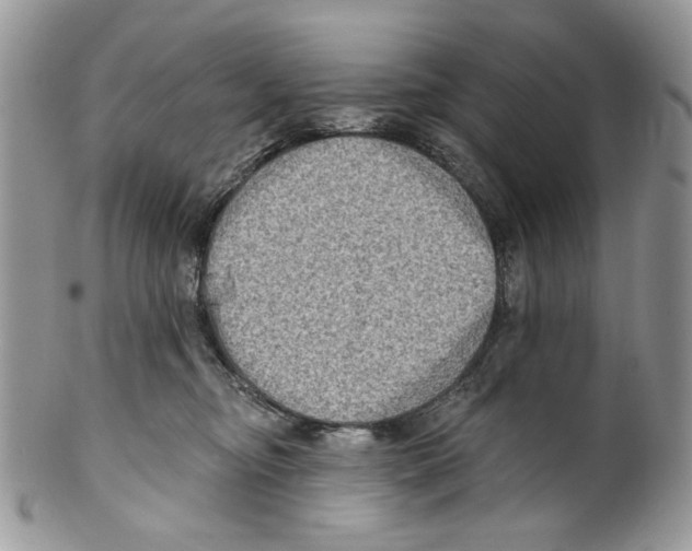 X0000099540374200806131155