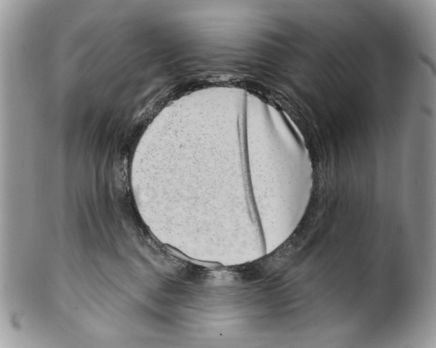 X0000099540376200806131155