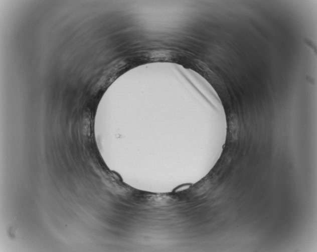 X0000099540379200806131155