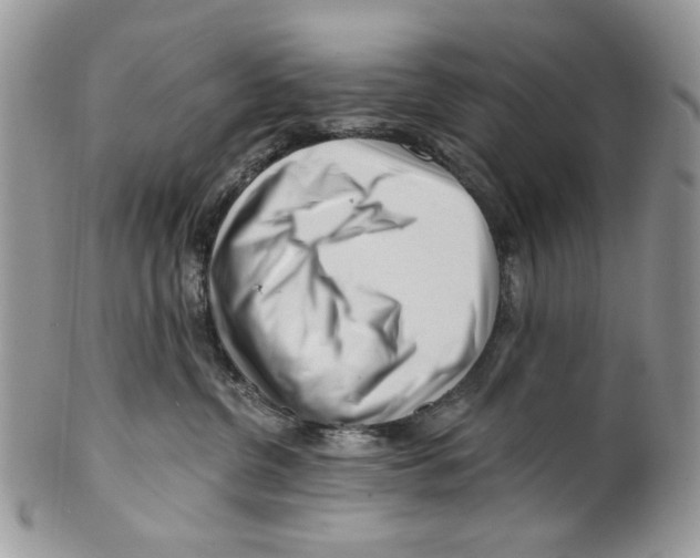 X0000099540380200806131155