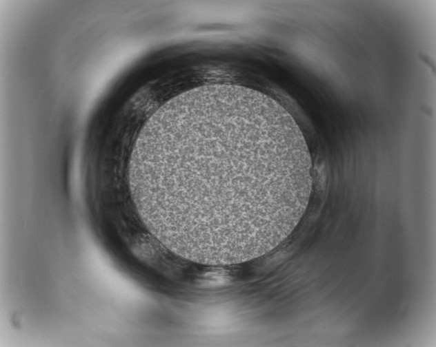 X0000099540381200806131155