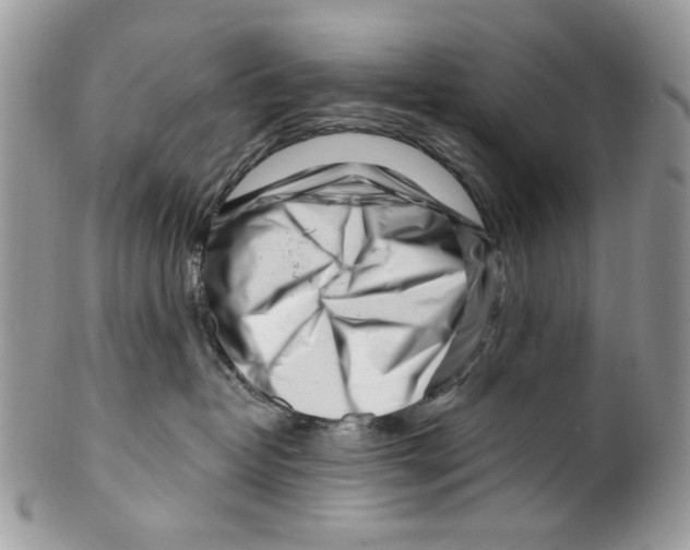 X0000099540382200806131155