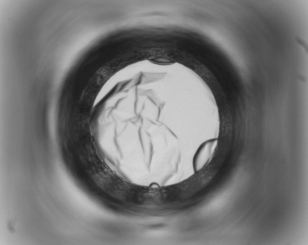 X0000099540383200806131155