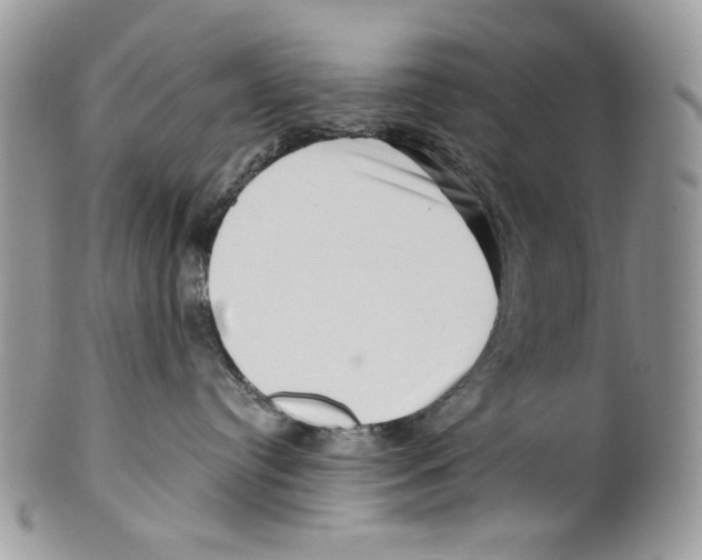 X0000099540384200806131155