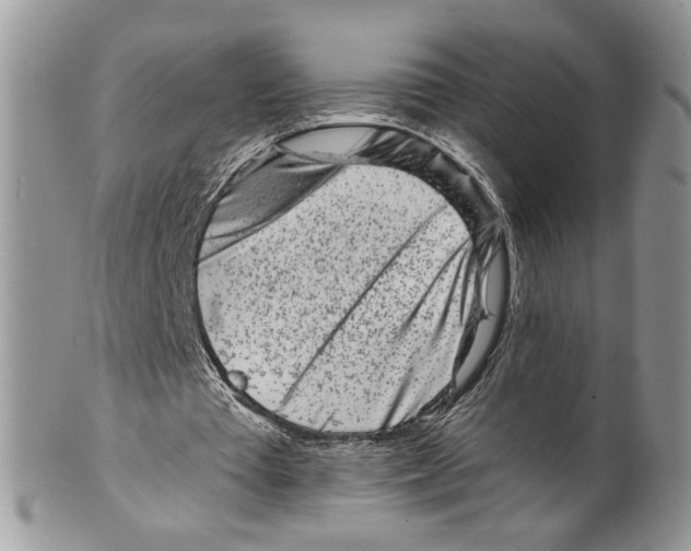 X0000099540385200806131154