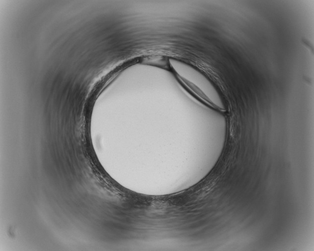 X0000099540388200806131154