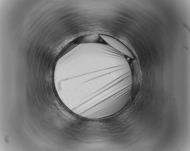 X0000099540389200806131154