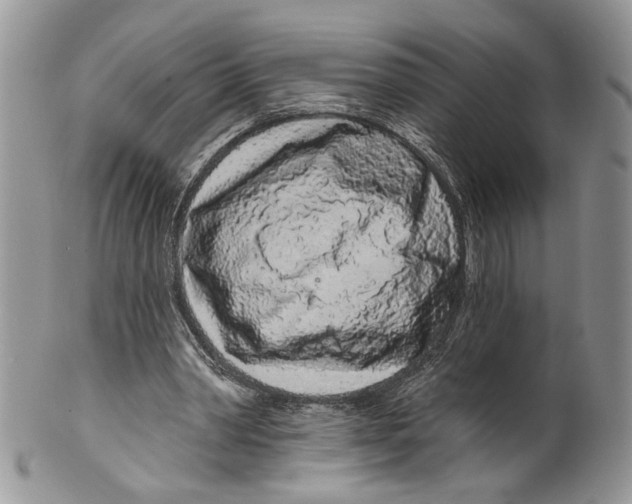 X0000099540390200806131154