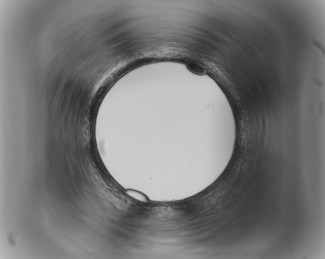 X0000099540392200806131154