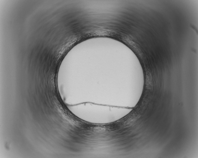 X0000099540394200806131154