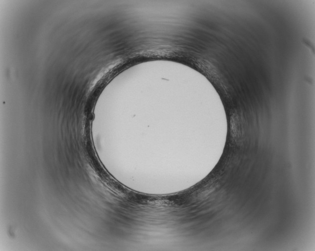 X0000099540396200806131154