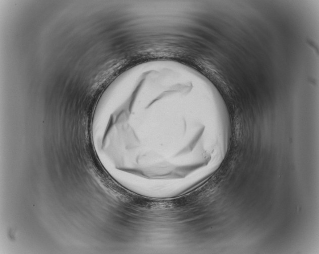 X0000099540398200806131154