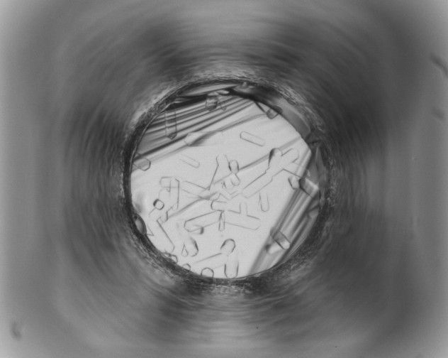 X0000099540399200806131154