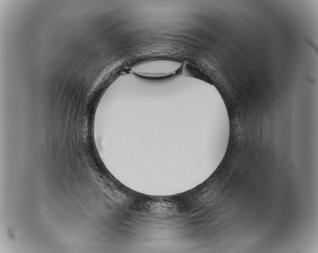 X0000099540400200806131154