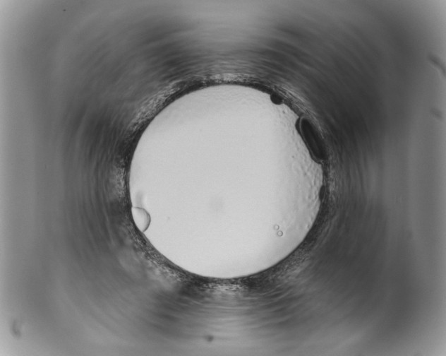 X0000099540401200806131154