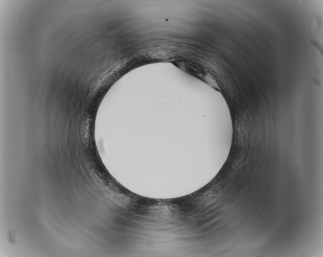 X0000099540404200806131154