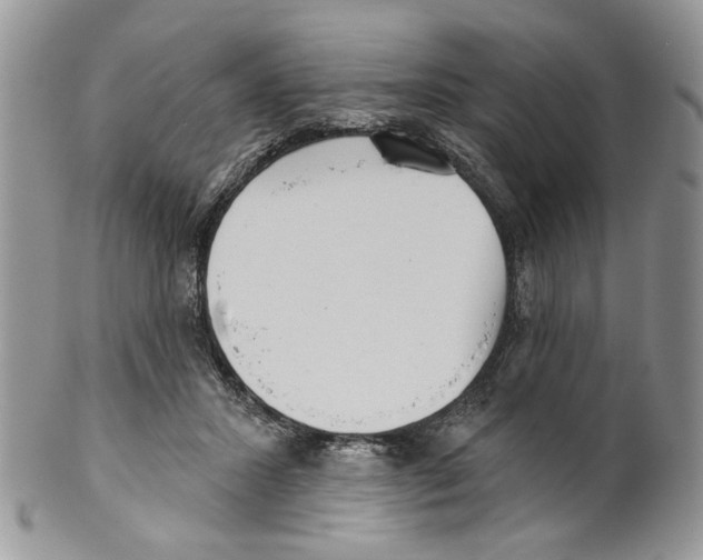 X0000099540407200806131154