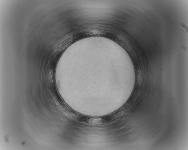 X0000099540410200806131154