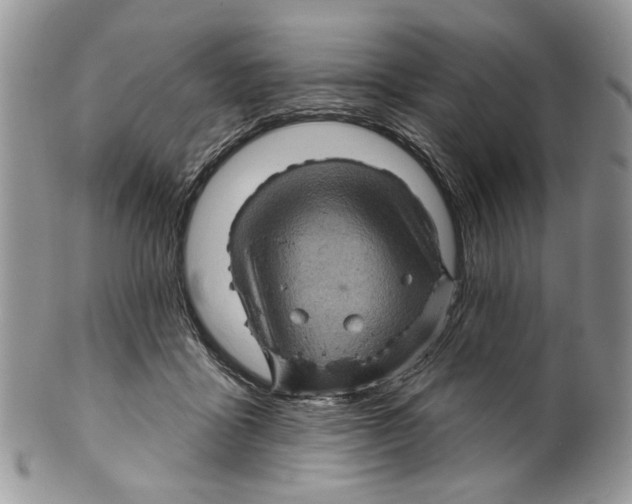 X0000099540411200806131154