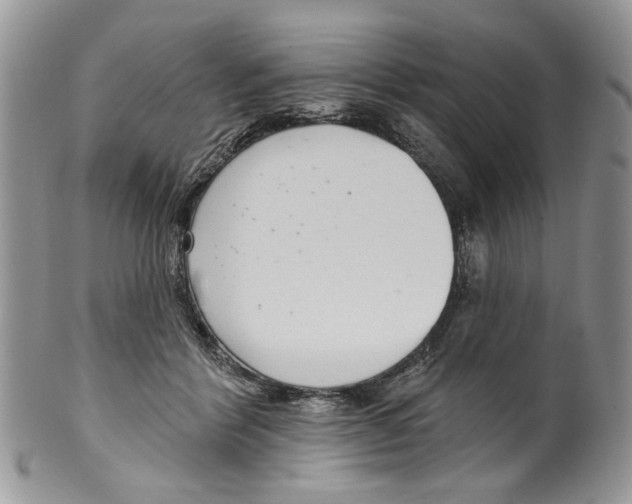 X0000099540412200806131154