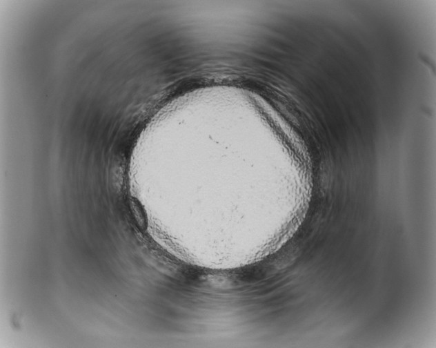 X0000099540417200806131154