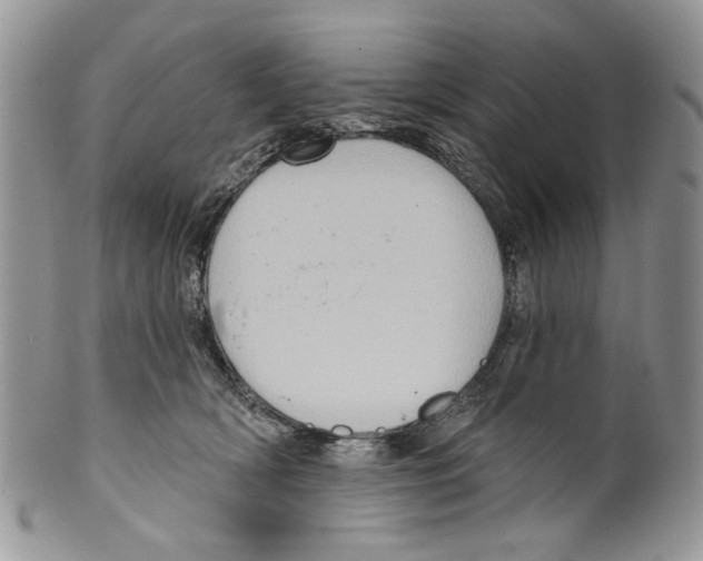 X0000099540418200806131154