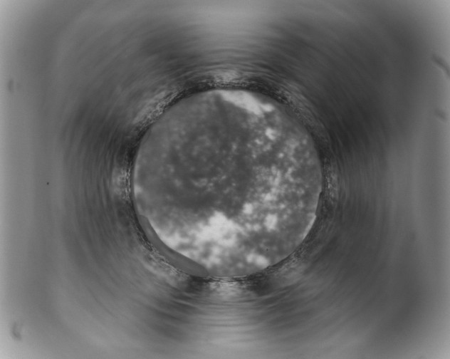 X0000099540419200806131154