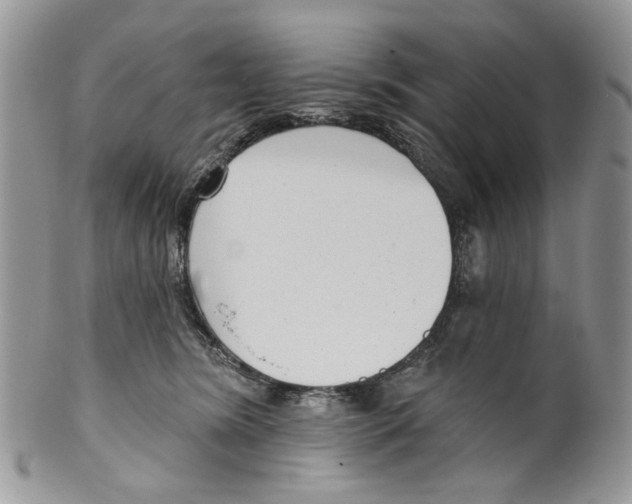 X0000099540420200806131154