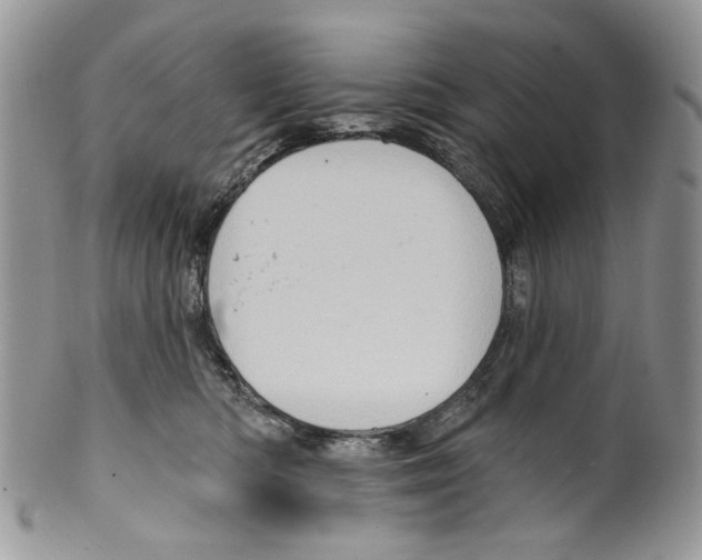 X0000099540422200806131153