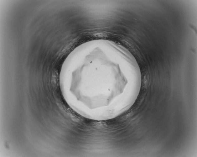 X0000099540424200806131153