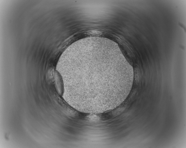 X0000099540425200806131153