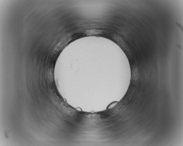 X0000099540426200806131153