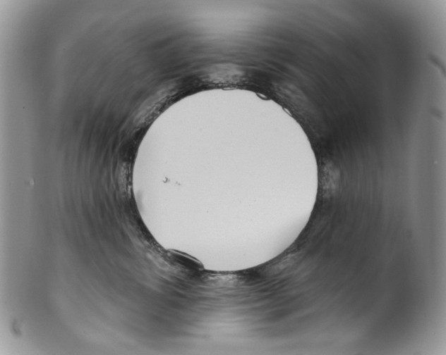 X0000099540428200806131153