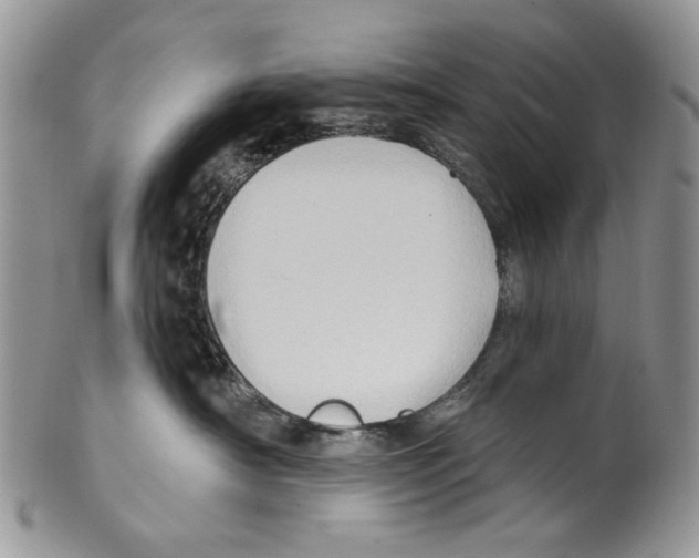 X0000099540430200806131153