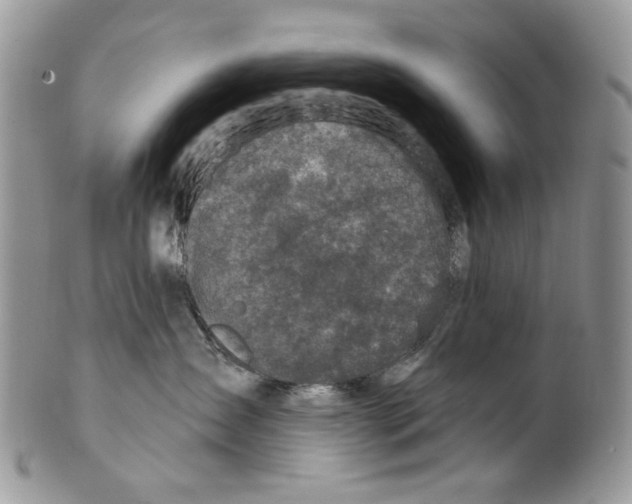 X0000099540431200806131153