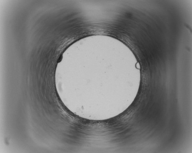 X0000099540433200806131153