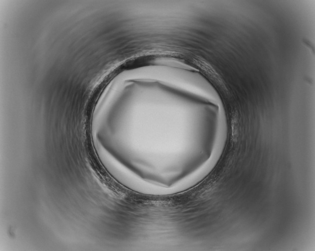 X0000099540436200806131153