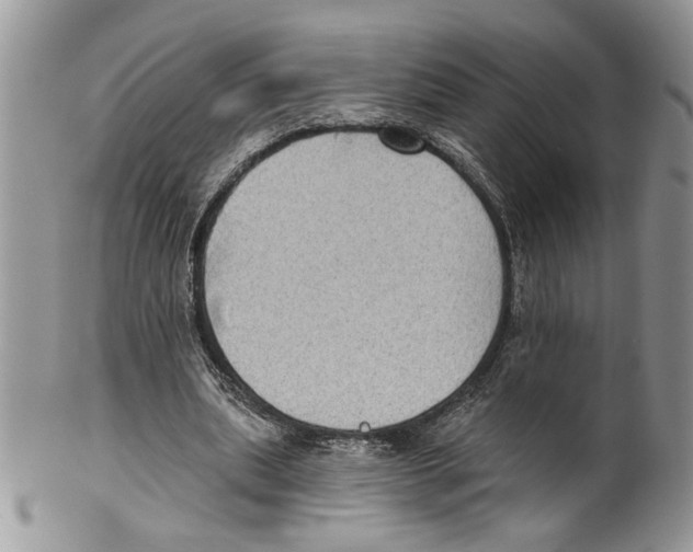 X0000099540439200806131153