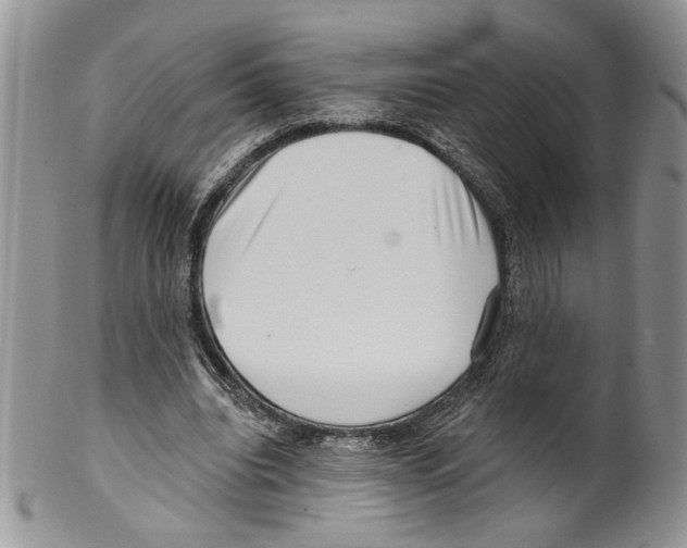 X0000099540440200806131153