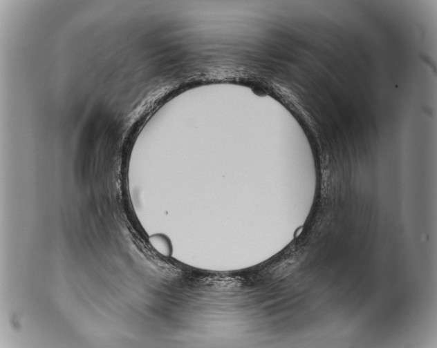 X0000099540443200806131153