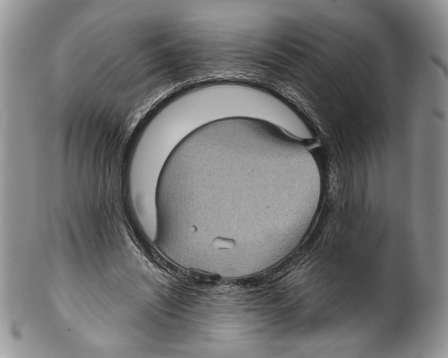 X0000099540444200806131153