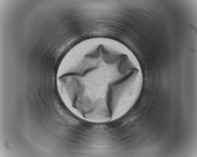 X0000099540446200806131153