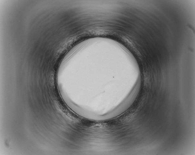 X0000099540447200806131153