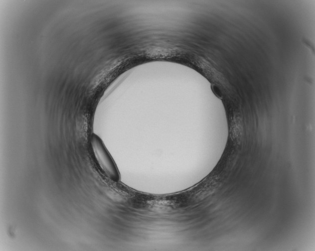 X0000099540448200806131153