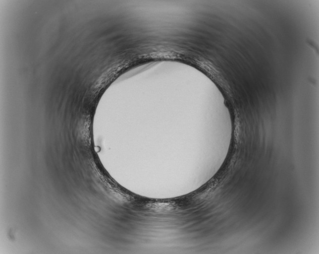 X0000099540449200806131153