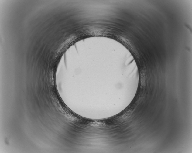 X0000099540453200806131153