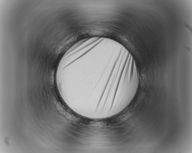 X0000099540454200806131153