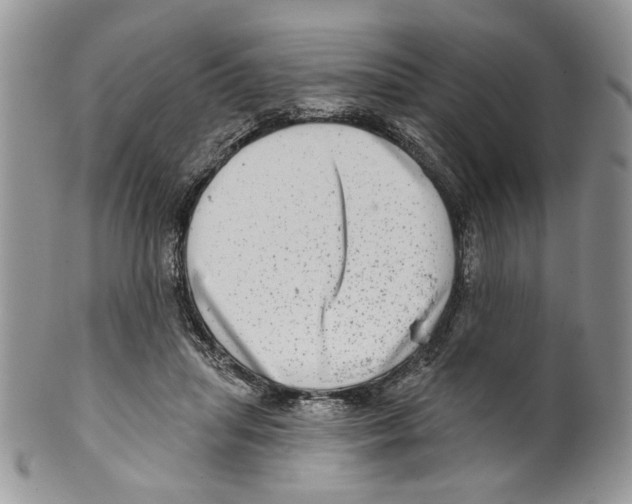 X0000099540455200806131153