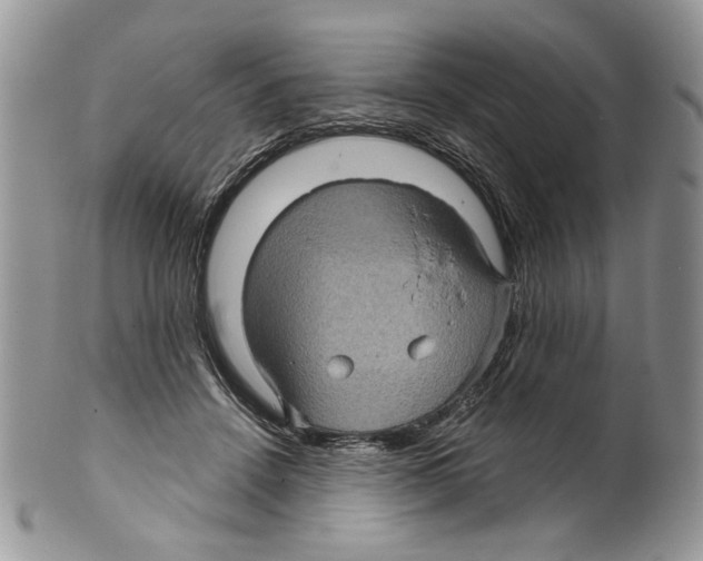 X0000099540456200806131153