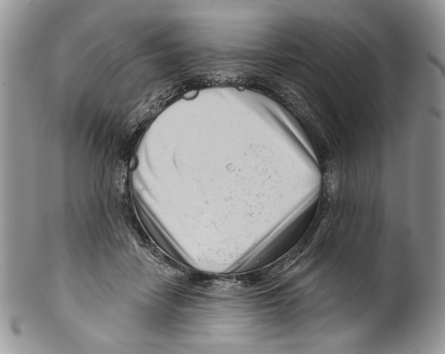 X0000099540458200806131153